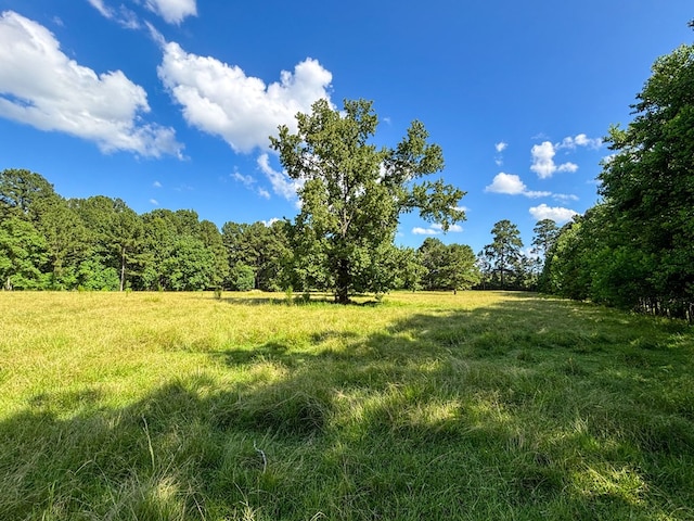1533 County Road 348, Broaddus, TX 75929 - photo 9