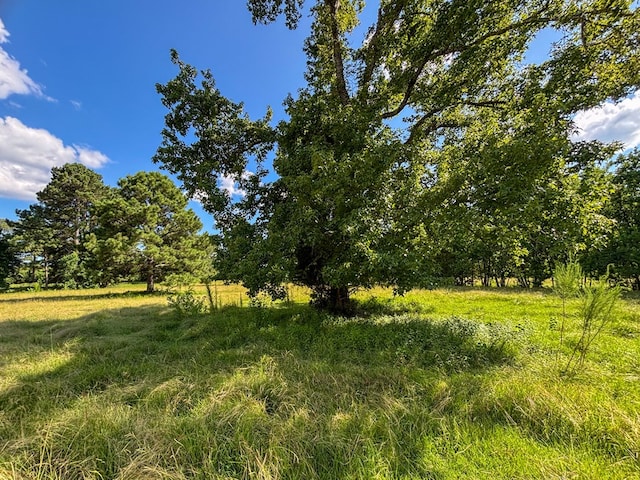 1533 County Road 348, Broaddus, TX 75929 - photo 68