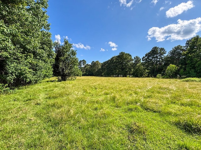 1533 County Road 348, Broaddus, TX 75929 - photo 50