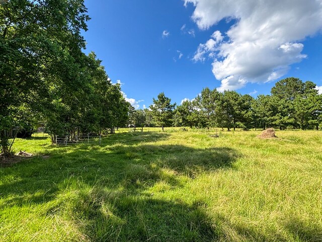 1533 County Road 348, Broaddus, TX 75929 - photo 45