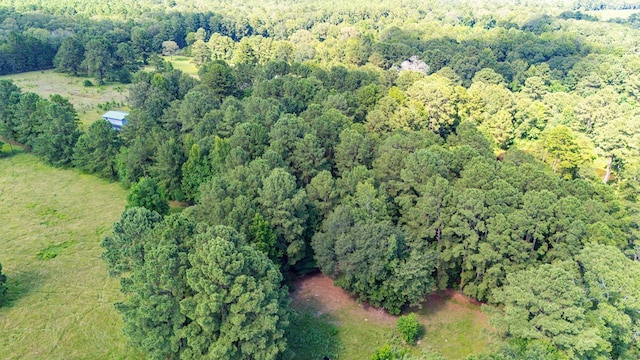1533 County Road 348, Broaddus, TX 75929 - photo 54