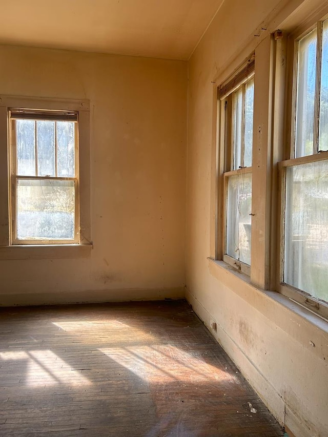 spare room featuring a wealth of natural light