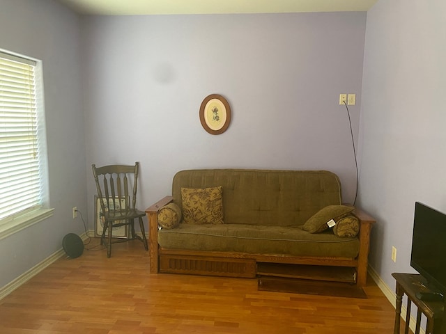 sitting room featuring light hardwood / wood-style flooring