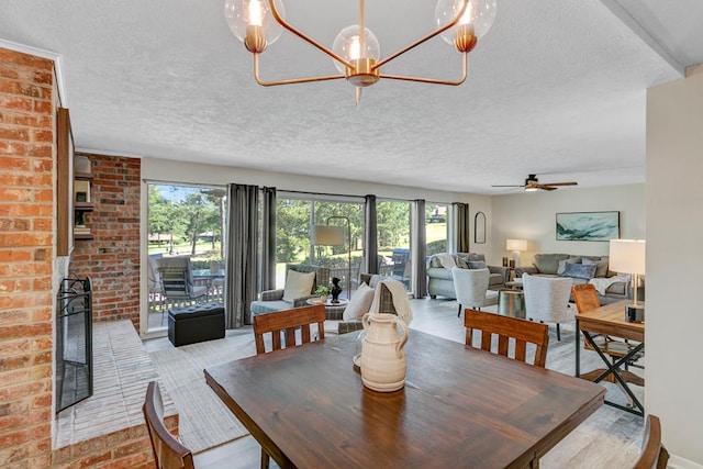 dining space featuring plenty of natural light, ceiling fan with notable chandelier, and a textured ceiling