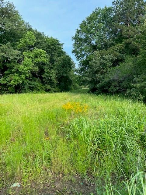 1508 Southwood Dr, Lufkin, TX 75901