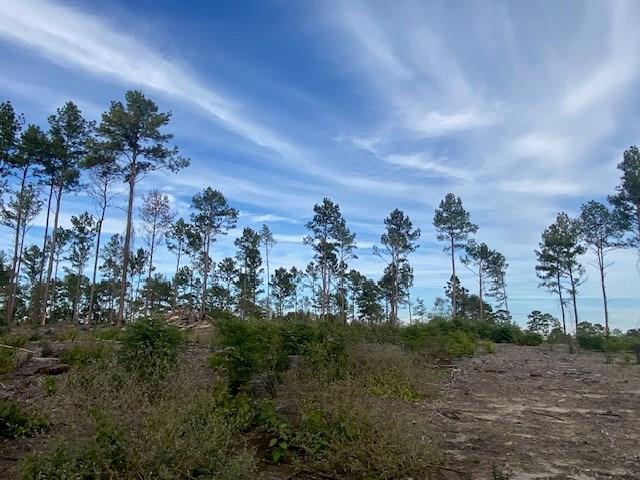 371 Fm 1872, Corrigan TX, 75939 land for sale