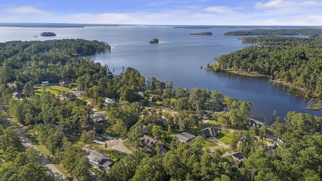 346 Northview Dr, Brookeland, TX 75931 - view of property location featuring a large body of water and a forest