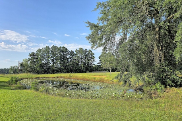 view of nature with a water view