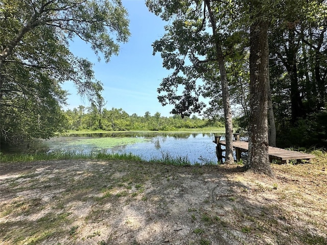 dock area with a water view