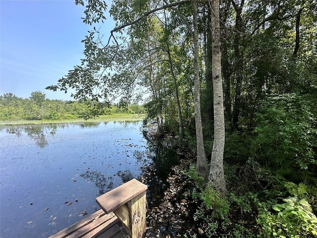 dock area with a water view