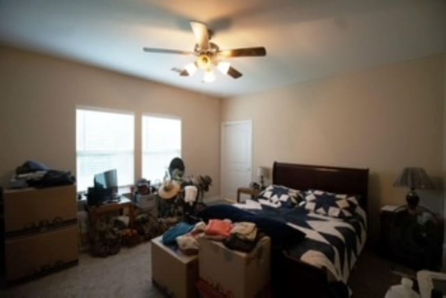 650 County Road 4055, Kirbyville, TX 75956 - photo 8