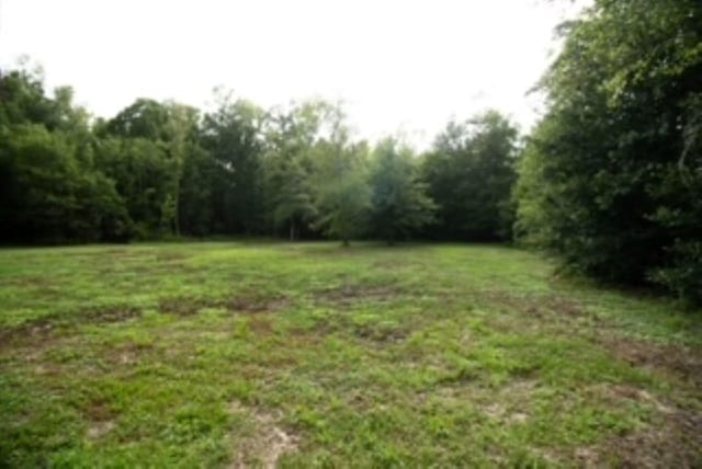 650 County Road 4055, Kirbyville, TX 75956 - photo 3