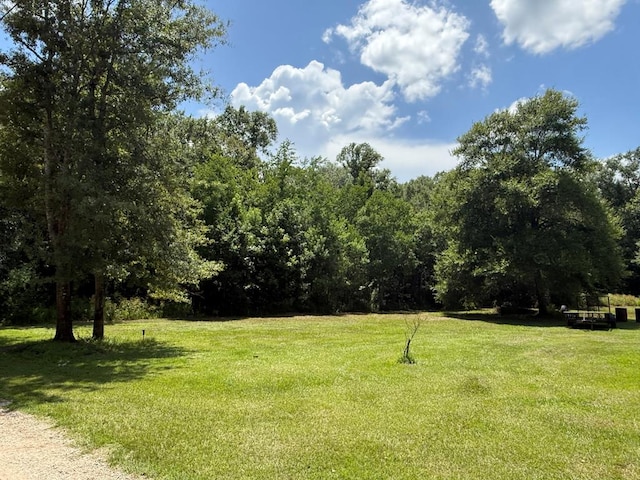 650 County Road 4055, Kirbyville, TX 75956 - photo 17