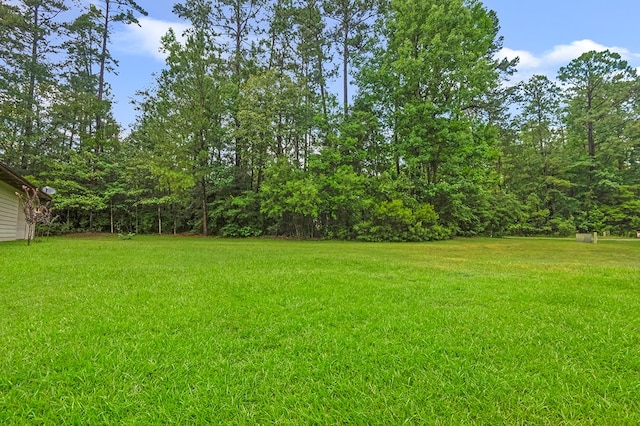 1399 Victoria Dr, Brookeland, TX 75931 - photo 7