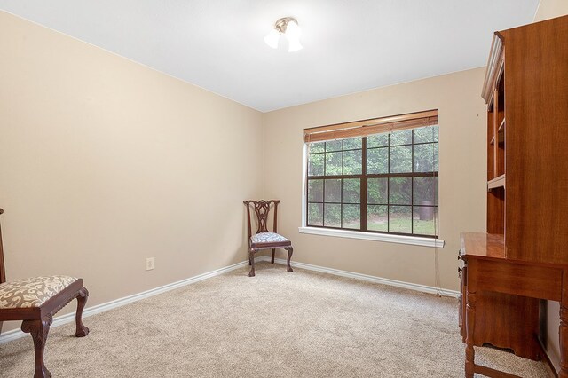 1399 Victoria Dr, Brookeland, TX 75931 - photo 18