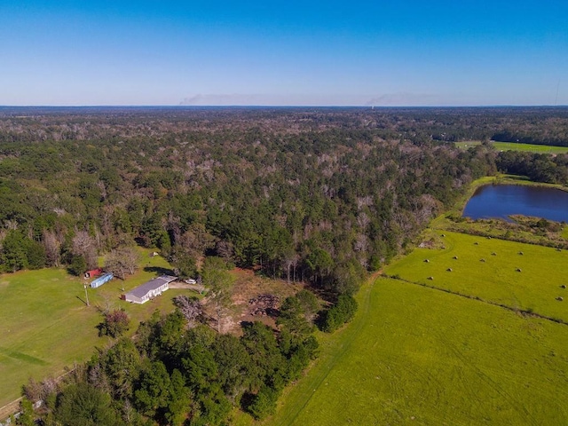 TRACT4 N Forty Cir, Lufkin, TX 75901 - photo 3