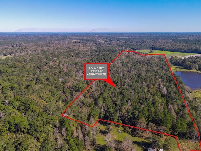 TRACT4 N Forty Cir, Lufkin, TX 75901 - photo 7