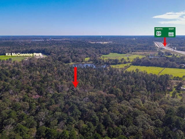 TRACT4 N Forty Cir, Lufkin, TX 75901 - photo 8