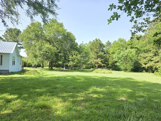 1041 County Road 430, Tenaha, TX 75974 - photo 6