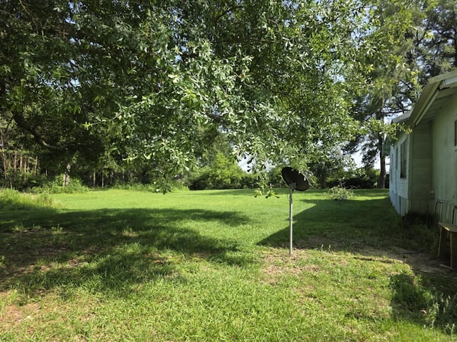 1041 County Road 430, Tenaha, TX 75974 - photo 11
