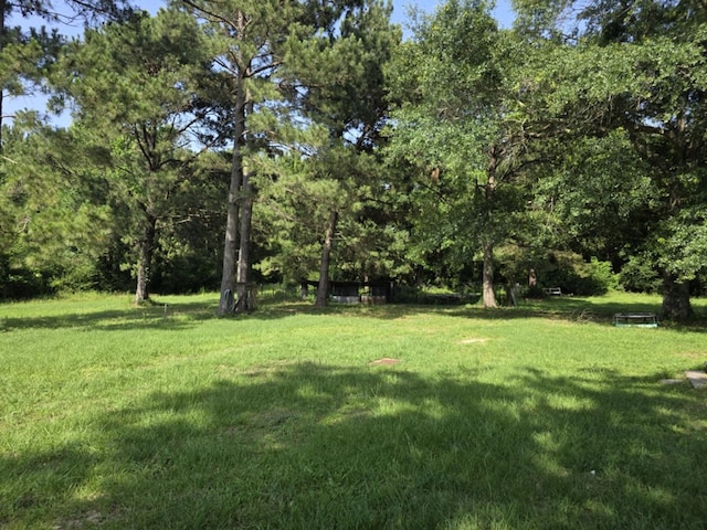 1041 County Road 430, Tenaha, TX 75974 - photo 13