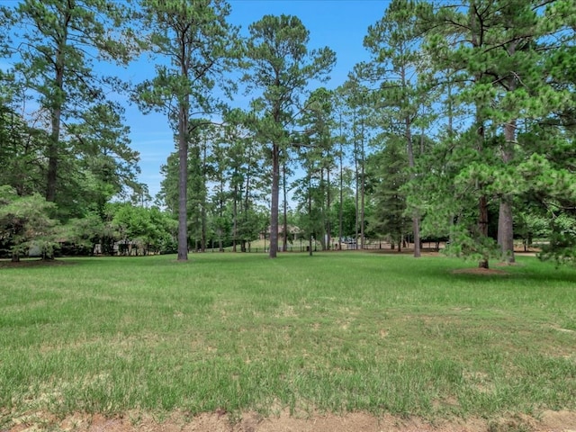 2423 Tanglewood Cir, Nacogdoches, TX 75965 - photo 6