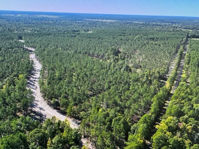 TRACT4-A Fm 357, Apple Springs, TX 75926 - photo 9
