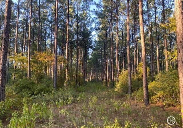 TRACT4-A Fm 357, Apple Springs, TX 75926 - photo 2