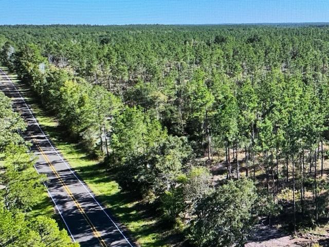 TRACT4-A Fm 357, Apple Springs, TX 75926 - photo 10