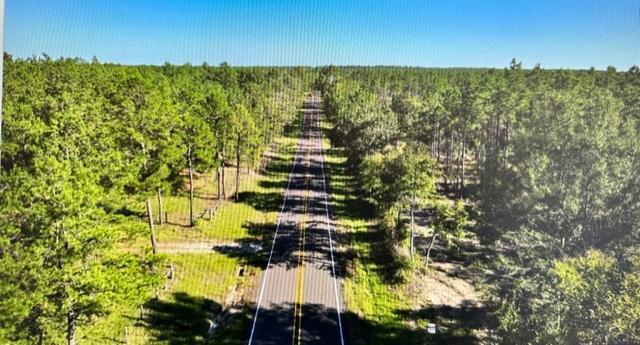 TRACT4-A Fm 357, Apple Springs, TX 75926 - photo 1