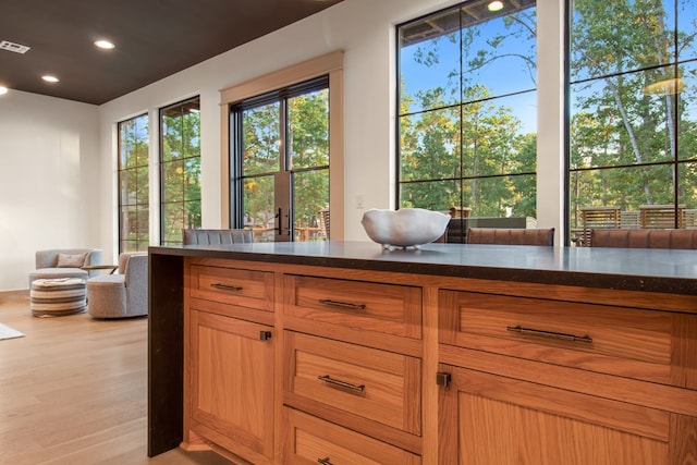 interior space featuring recessed lighting, wood finished floors, and visible vents