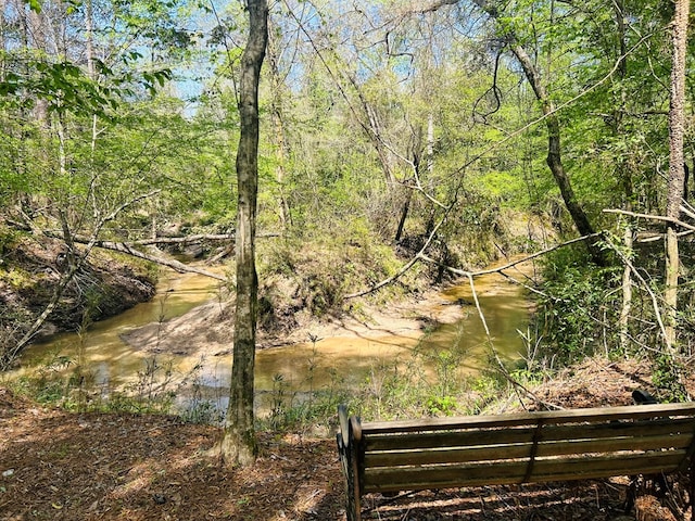 4928 Fm 252, Jasper, TX 75951 - view of yard