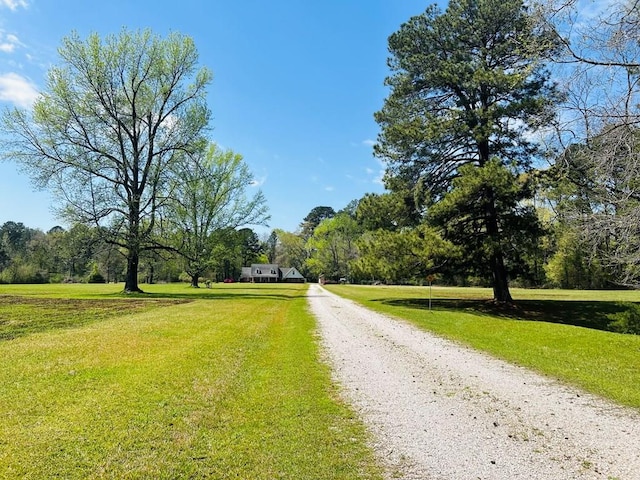 4928 Fm 252, Jasper, TX 75951 - view of dirt / gravel road
