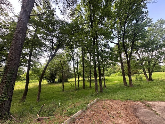 707 Pine St, Center, TX 75935 - view of local wilderness