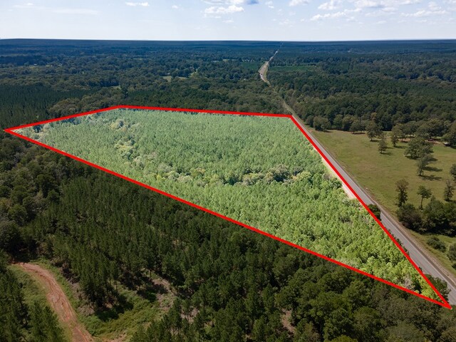 6474 State Highway 103, Bronson, TX 75930 - photo 5