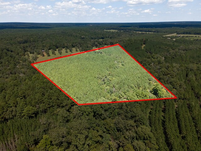 6474 State Highway 103, Bronson, TX 75930 - photo 4
