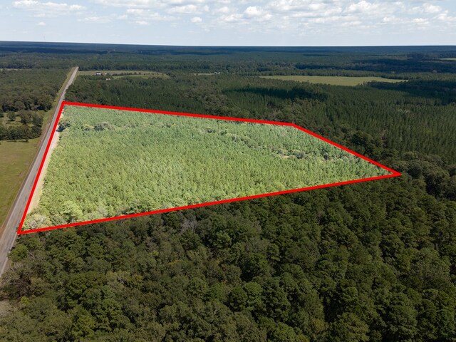 6474 State Highway 103, Bronson, TX 75930 - photo 3