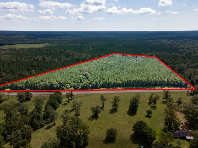 6474 State Highway 103, Bronson, TX 75930 - photo 8
