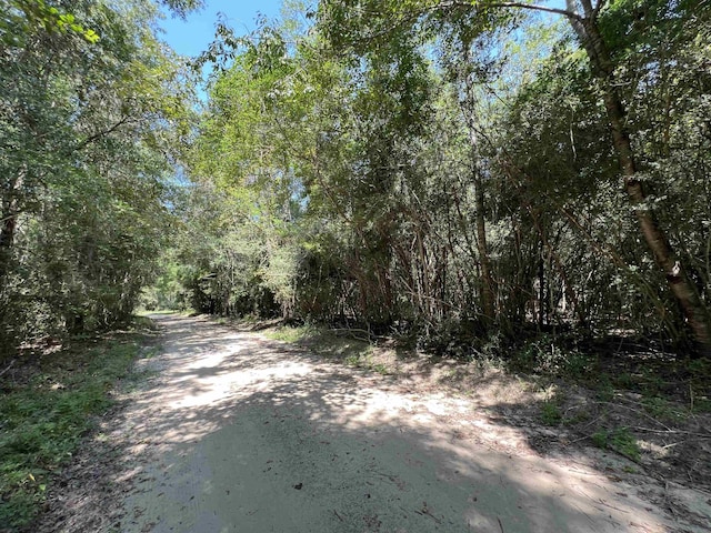 280 County Road 522, Kirbyville, TX 75956 - photo 5