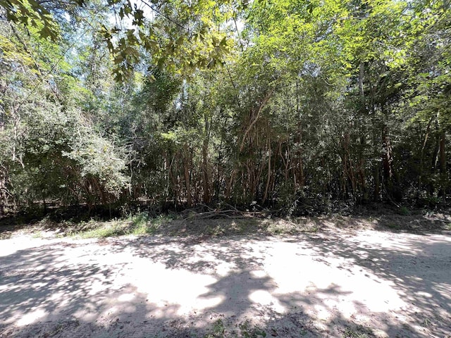 280 County Road 522, Kirbyville, TX 75956 - photo 2