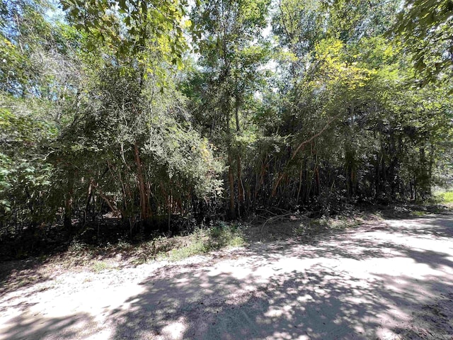 280 County Road 522, Kirbyville, TX 75956 - photo 4