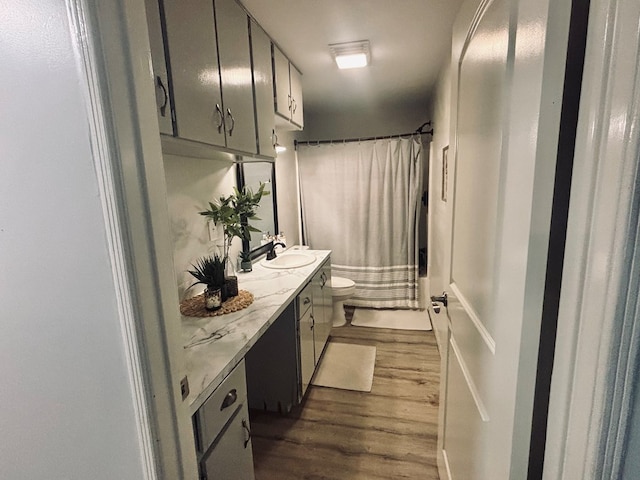 bathroom with toilet, wood finished floors, and vanity