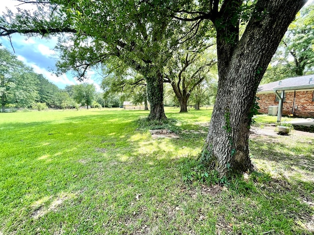 7203 Fm 326, Lufkin, TX 75901 - view of green lawn