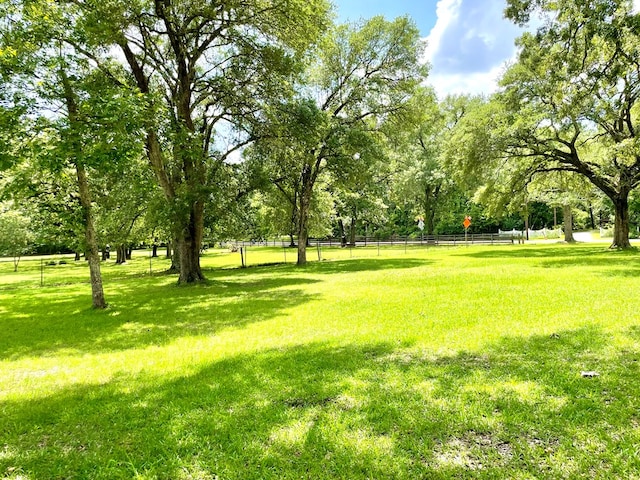 7203 Fm 326, Lufkin, TX 75901 - view of yard