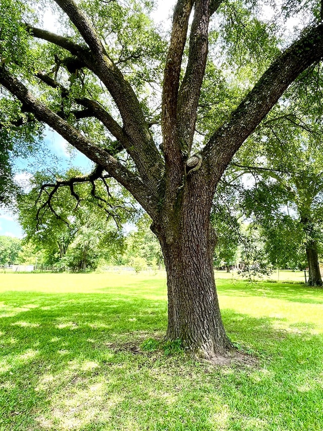 7203 Fm 326, Lufkin, TX 75901 - view of grassy yard