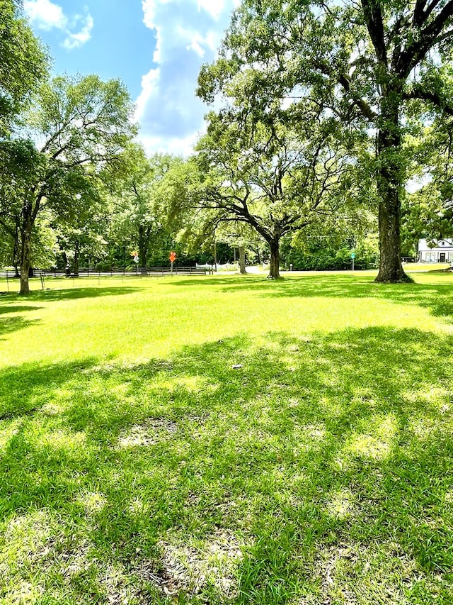 7203 Fm 326, Lufkin, TX 75901 - view of yard