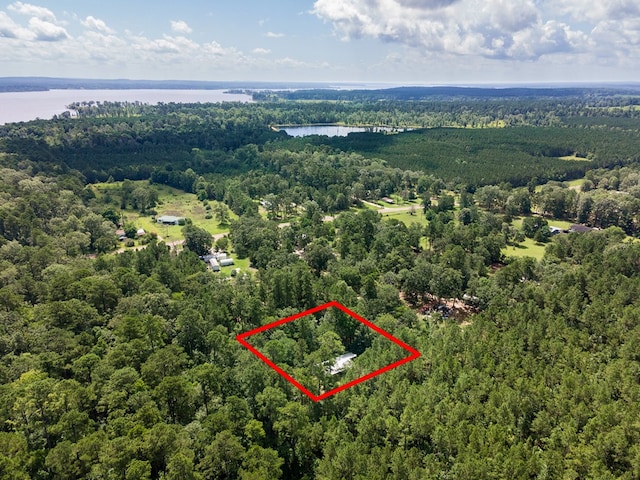1669 Marion Ferry Rd, Huntington, TX 75949 - aerial view of property's location with a nearby body of water and property boundaries highlighted