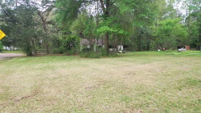 886 Johnson St, Jasper, TX 75951 - photo 7