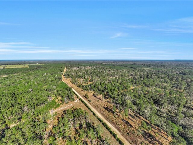 2813 Grimes Cemetary, Lufkin, TX 75901 - photo 6