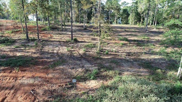 157 Rebel Cv, Milam, TX 75959